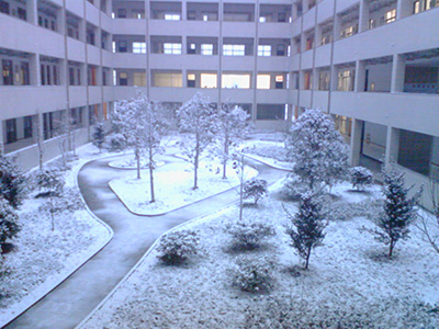 教学楼内花园雪景