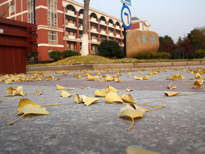 常州北郊高中国际部,校园风采
