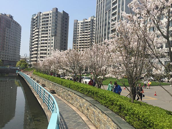 校园实景