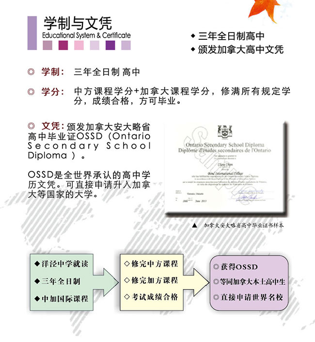 课程结构图示