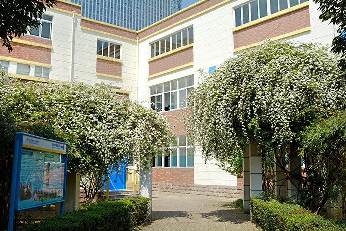 成都美视国际学校怎么样?西部具备IB三大项目