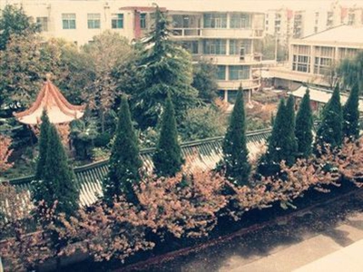 武钢三中国际部校园风采