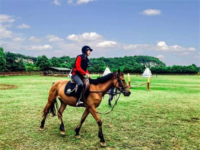 苏州青云实验中学国际部校园风采