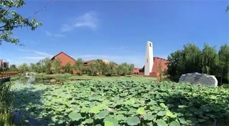 北外附属龙游湖外国语学校