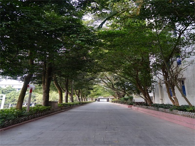 广东金融学院校园风采