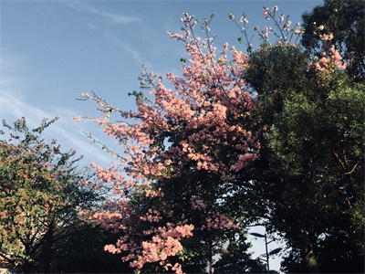 广东金融学院校园风采