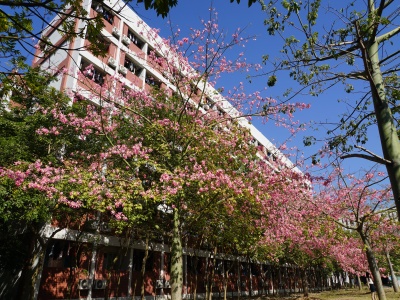 广东金融学院校园风采