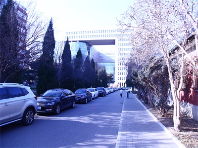 北语留服国际课程中心校园风采