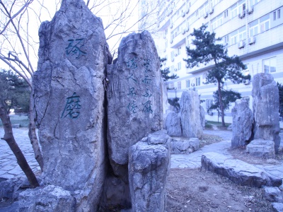 北语留服国际课程中心校园风采
