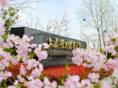 上海对外经贸大学国际本科校园风采