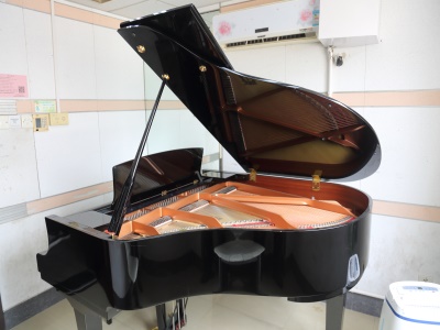 星海音乐学院校园风采