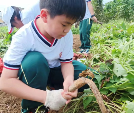 深圳枫叶国际学校