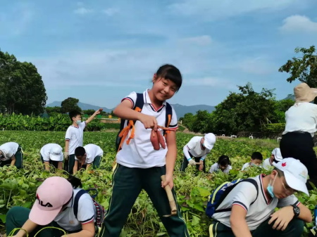 深圳枫叶国际学校