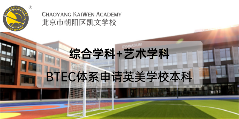 北京市朝阳区凯文学校国际艺术班