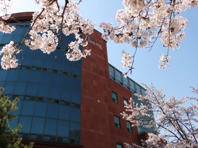 韩国信韩大学国际本科