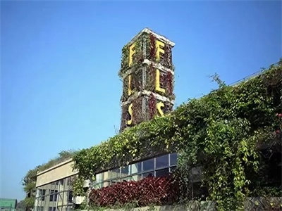 北京师范大学珠海分校附属外国语学校校园风采