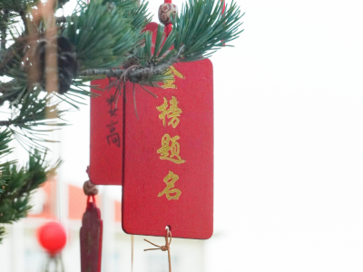 太仓市华顿外国语学校校园风采