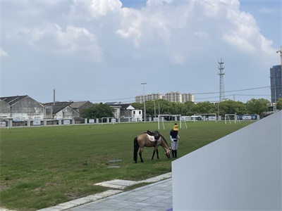 苏州市相城区美高学校校园风采