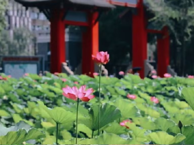 四川大学出国留学预备学院校园风采