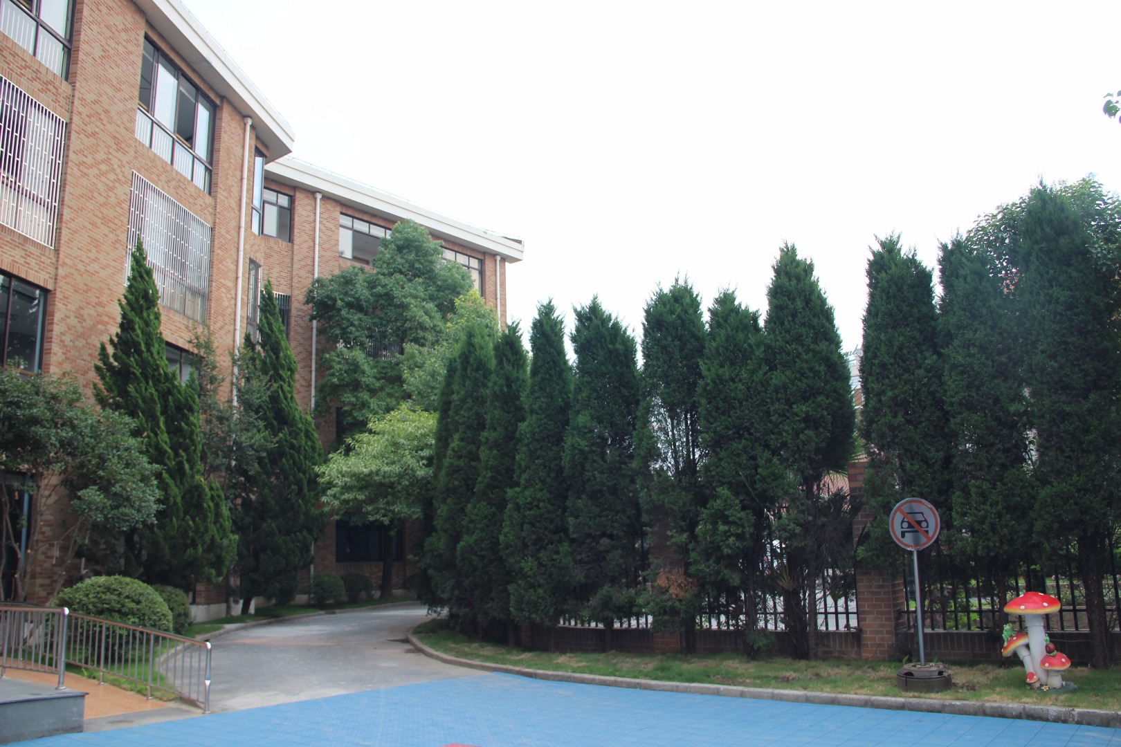 上海常青藤学校开放日openday