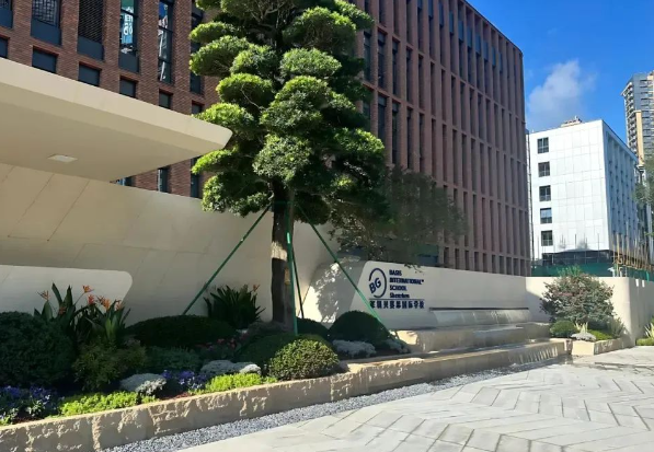 深圳蛇口贝赛思国际学校学校特色和升学成绩