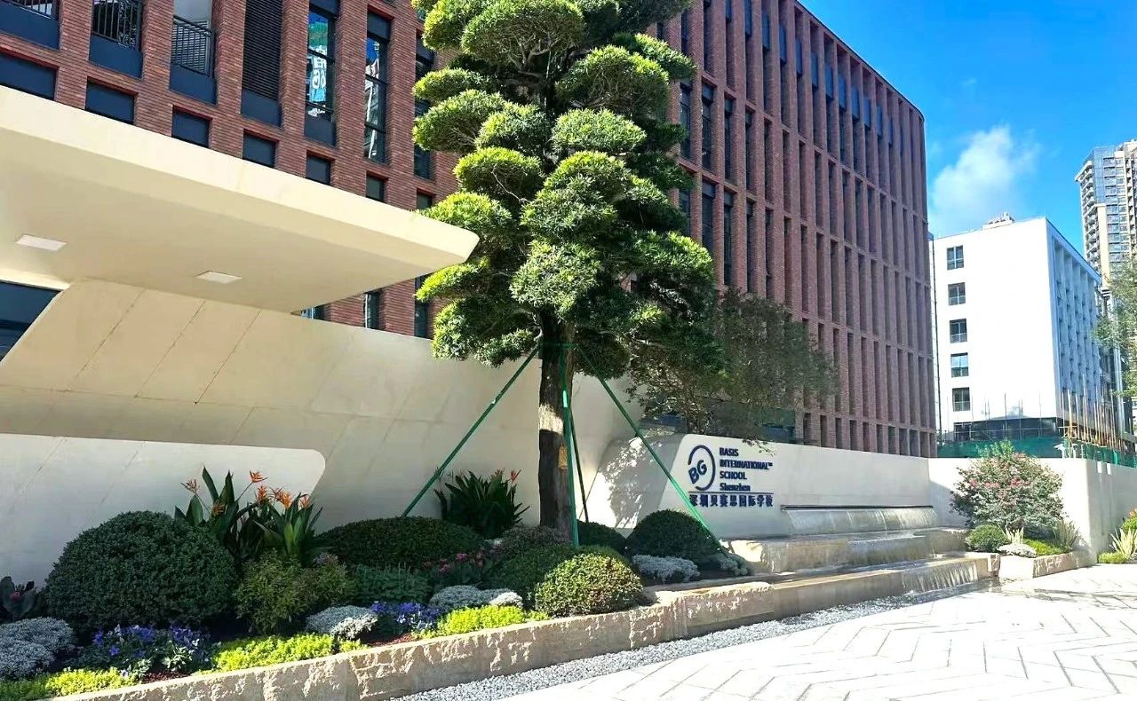 深圳贝赛思国际学校（蛇贝） 招生信息及课程设置