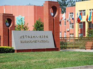 2022年北京市私立树人瑞贝学校的教师质量如何?