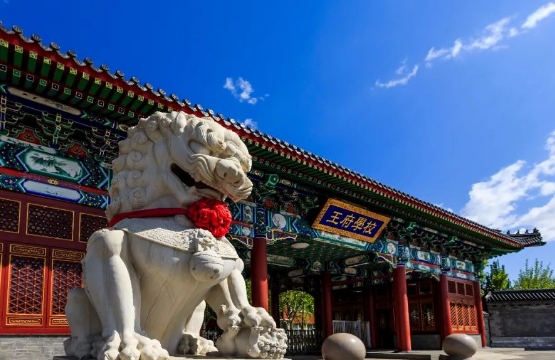 北京王府学校高中部2024年招生简章