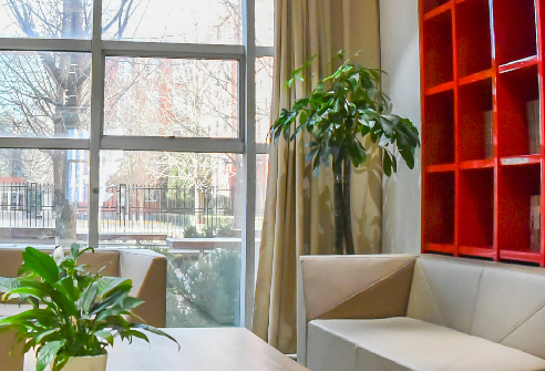 北京新府学外国语学校