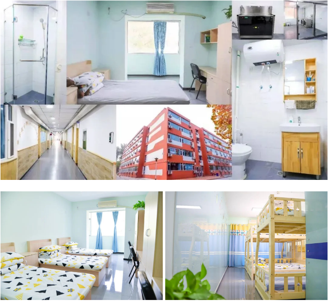 北京市新府学外国语学校