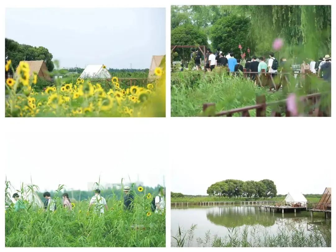 UIA美华学校