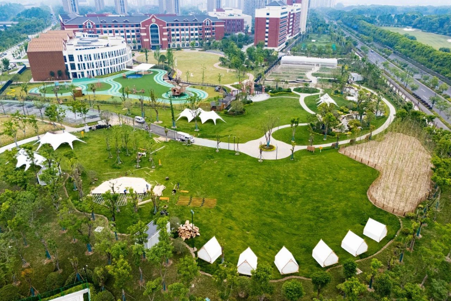 杭州鼎文学校