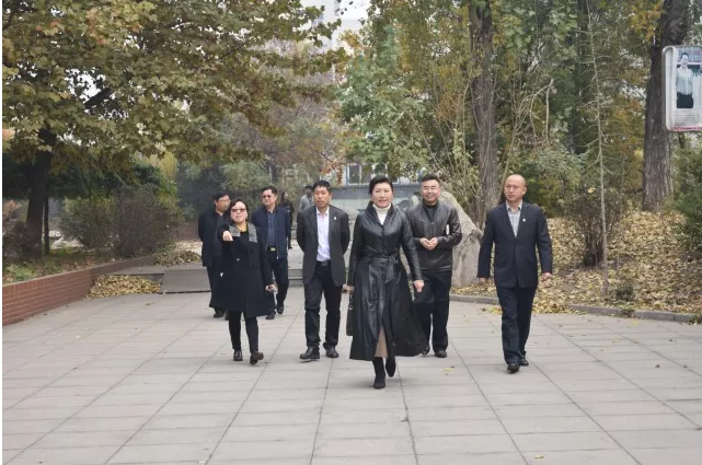 河北苍龙国际学校老师的专业永远在路上