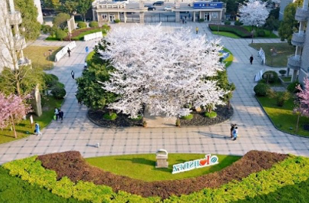 2023年杭州师范大学附属中学国际部招生简章