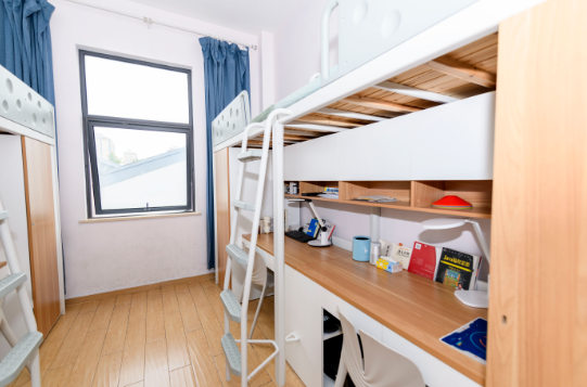 杭州橄榄树学校2026年招生简章！