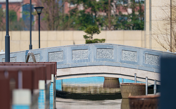 2023年杭州外国语学校剑桥高中招生信息