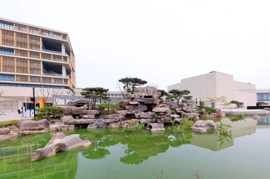 江苏省靖江高级中学国际部课程设置介绍