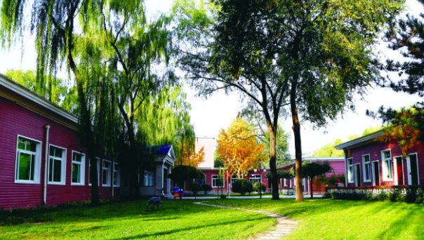 清华志清中学国际部入学方式