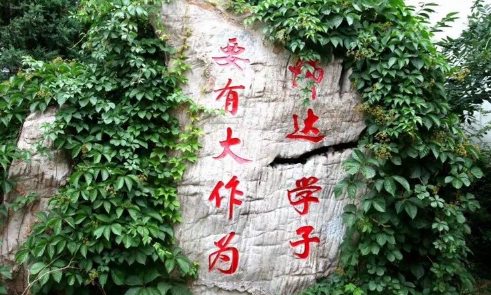 北京市师达中学国际部课程设置