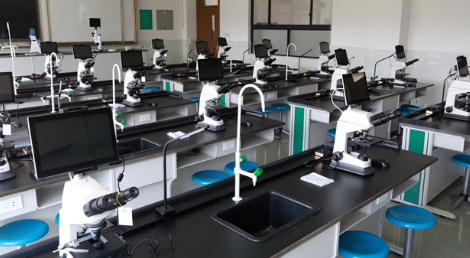 上海田家炳中学国际部办学亮点