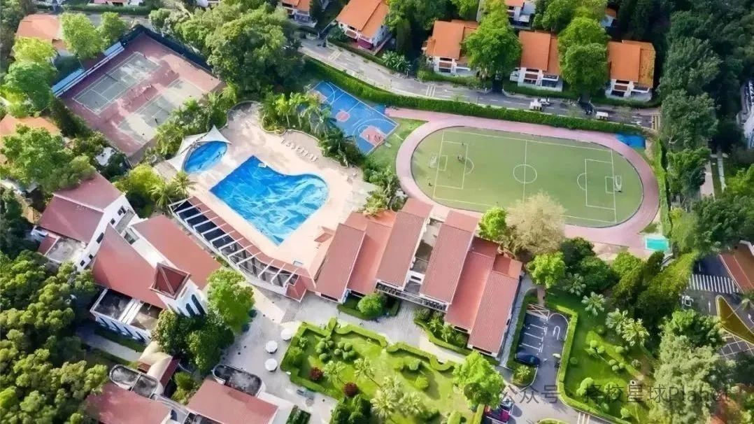 深圳蛇口国际学校