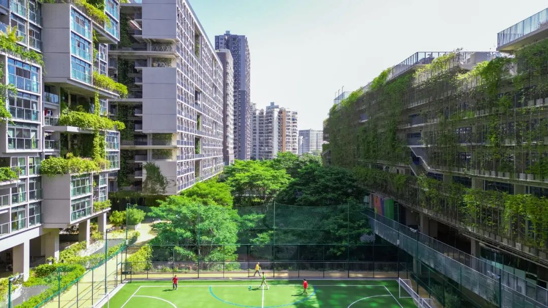 深圳国际交流书院2026秋季招生入学信息