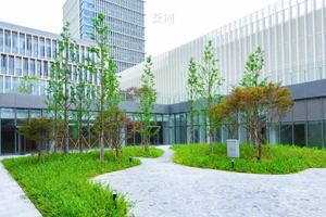 苏州荟同学校高中部入学考试