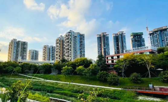 深圳IPC国际校区