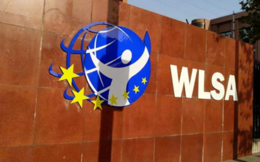 WLSA上海学校招生对象及课程方向