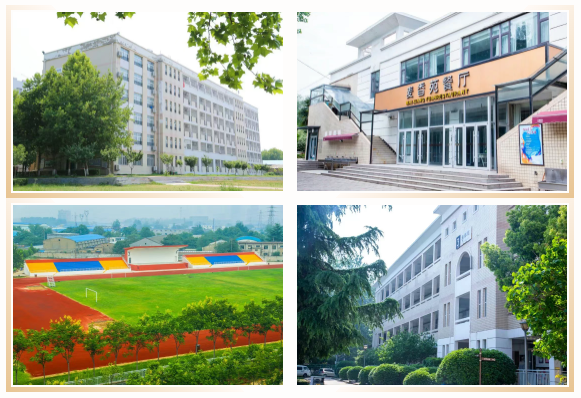 郑州市郑中国际学校高中部招生简章