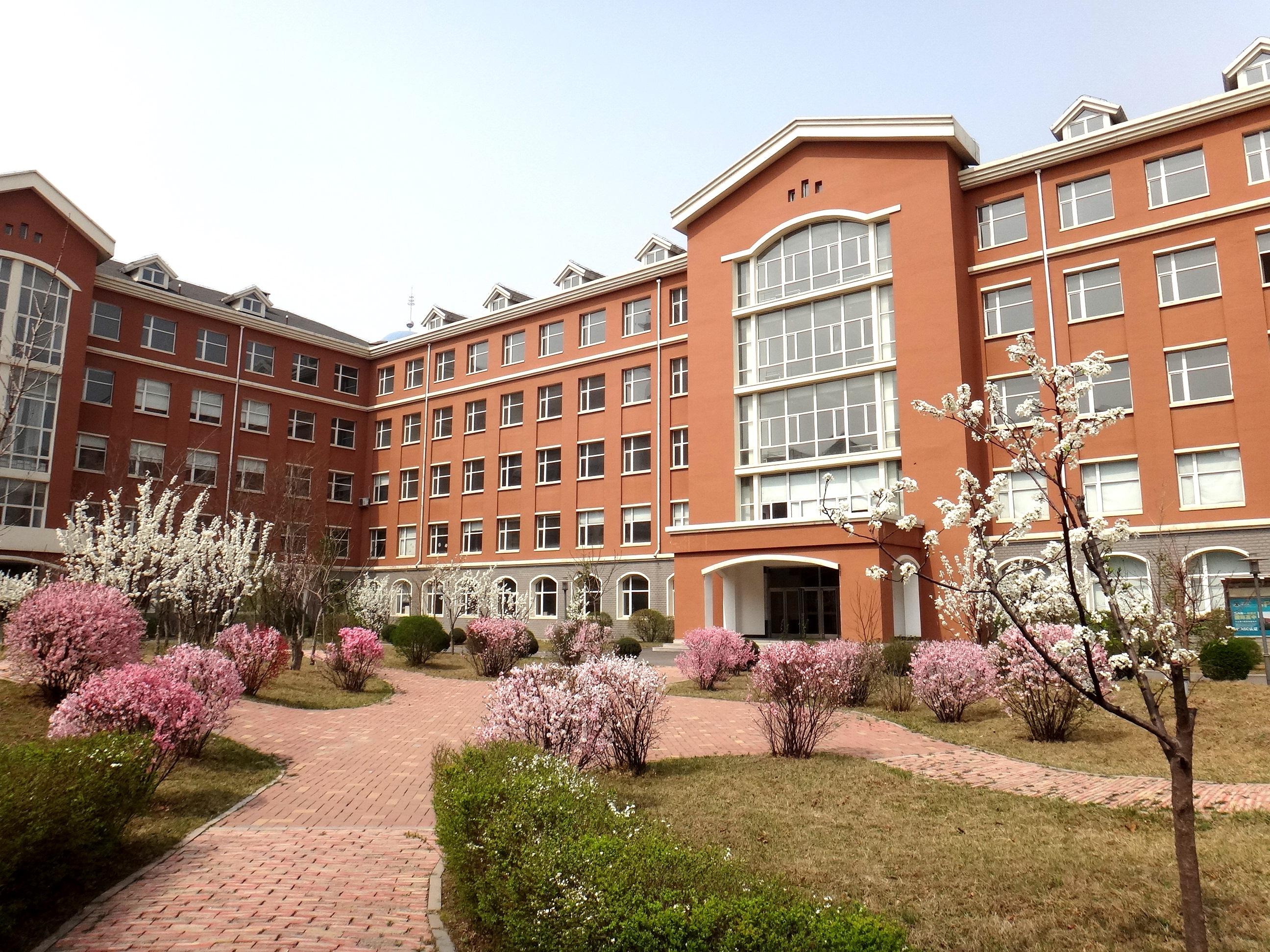 沈阳太平洋国际学校2025年招生在线登记预约报名开启!