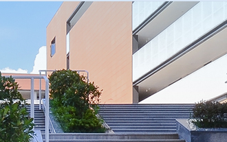 南京河西外国语学校