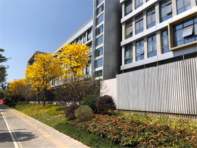 深圳市华朗学校2025年招生在线登记预约报名开启!