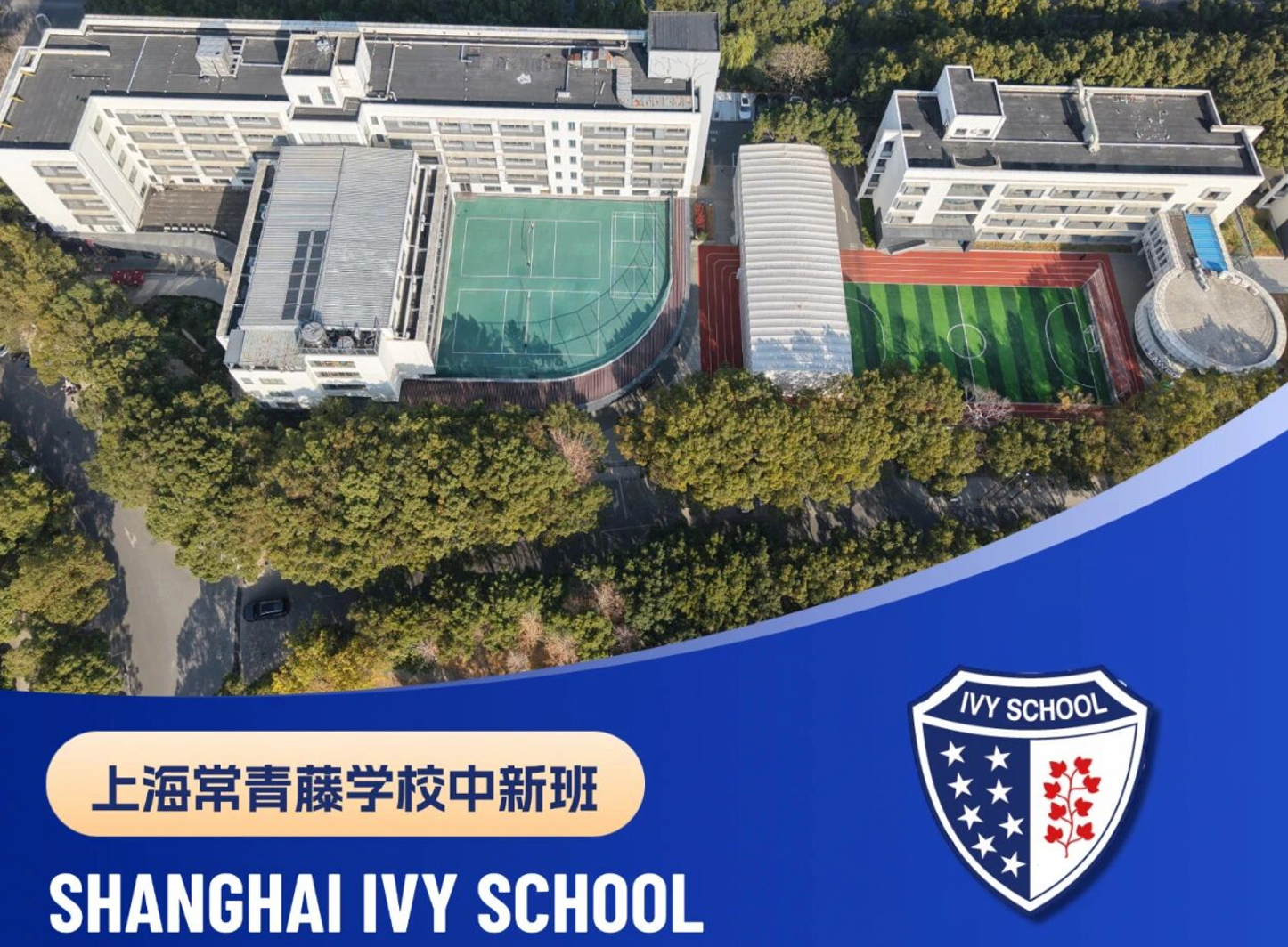 上海常青藤学校中新班2026年招生简章